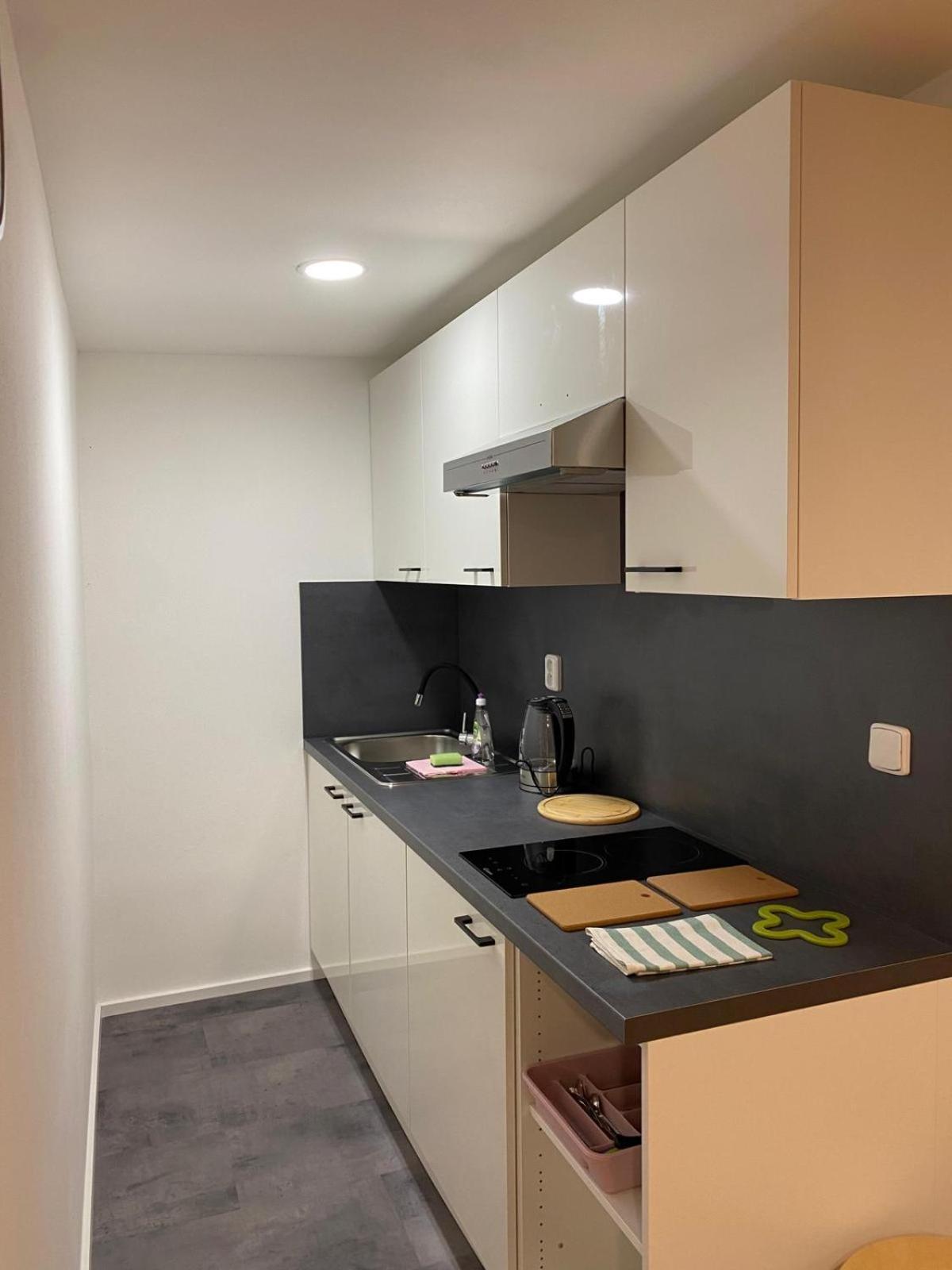 Pod Lipou Appartement Liberec Buitenkant foto